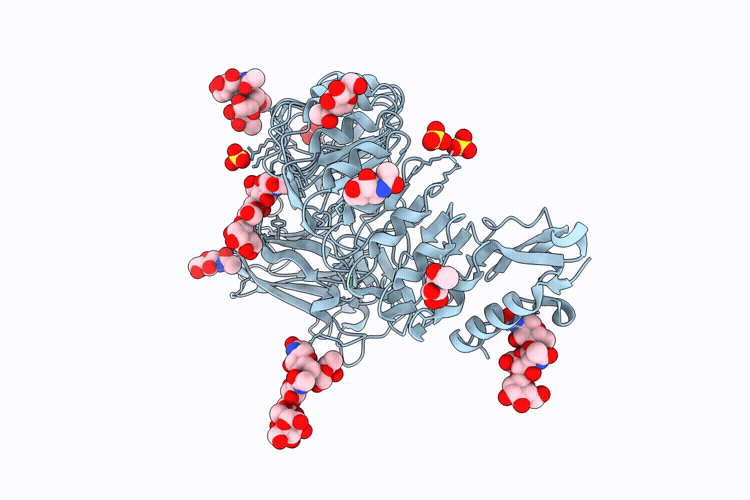 9HHX image
