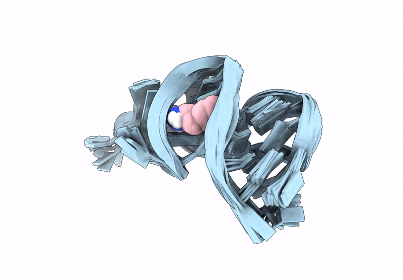 9HIO image