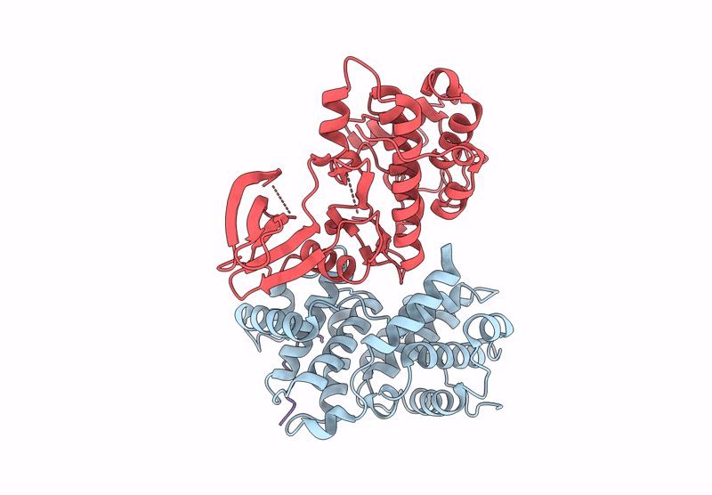 9HJ1 image