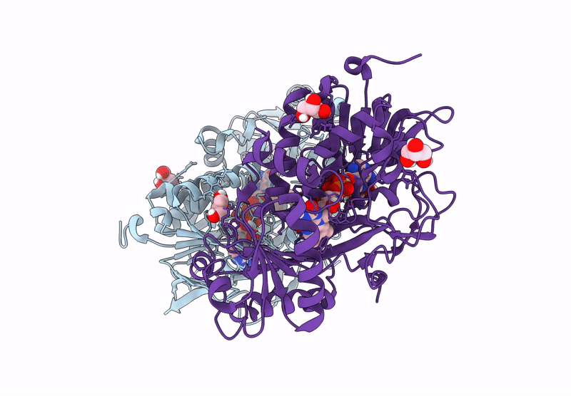 9HJ5 image