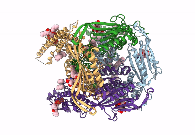 9HJ6 image