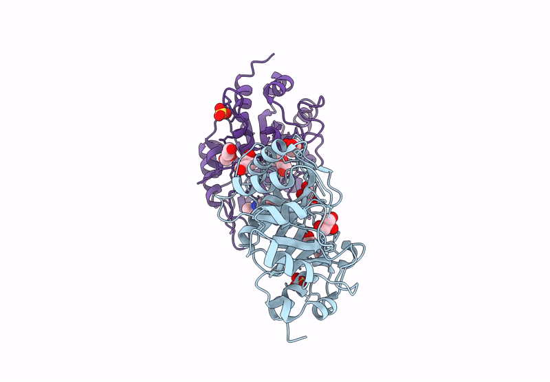 9HJ7 image