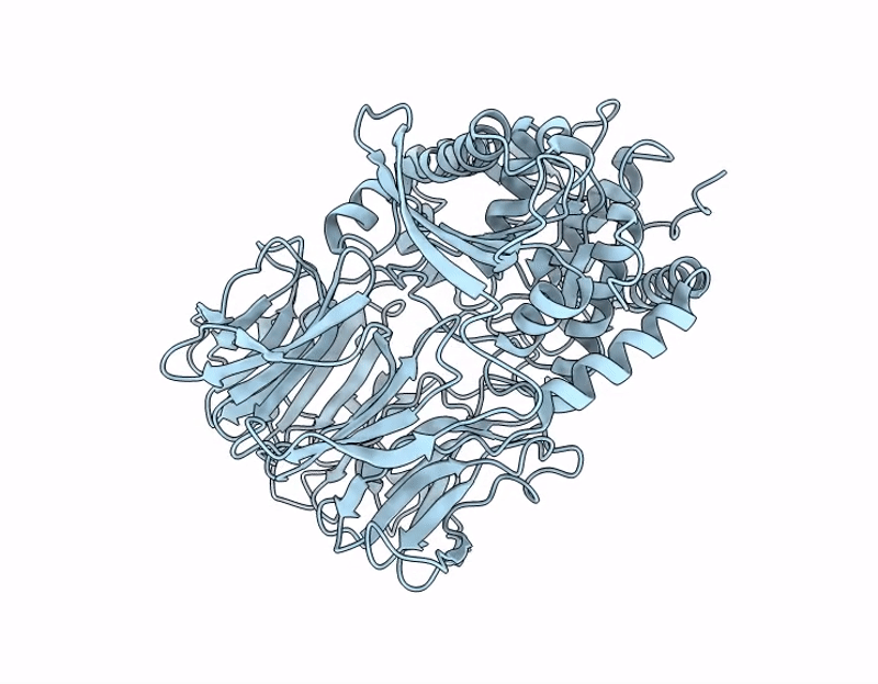 9HJI image