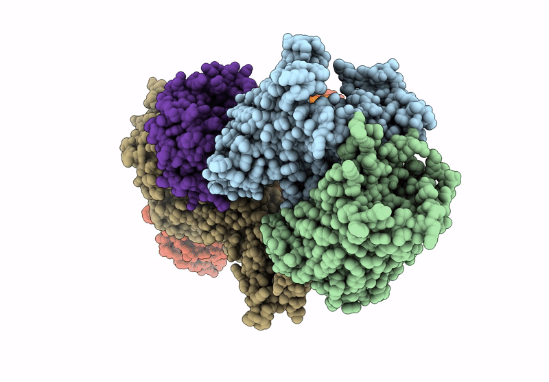 9HJM image