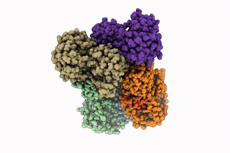 9HJX image