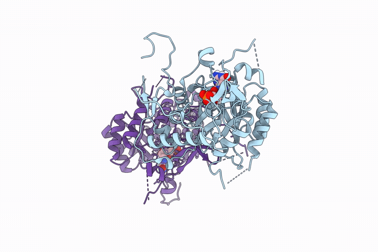 9HKB image