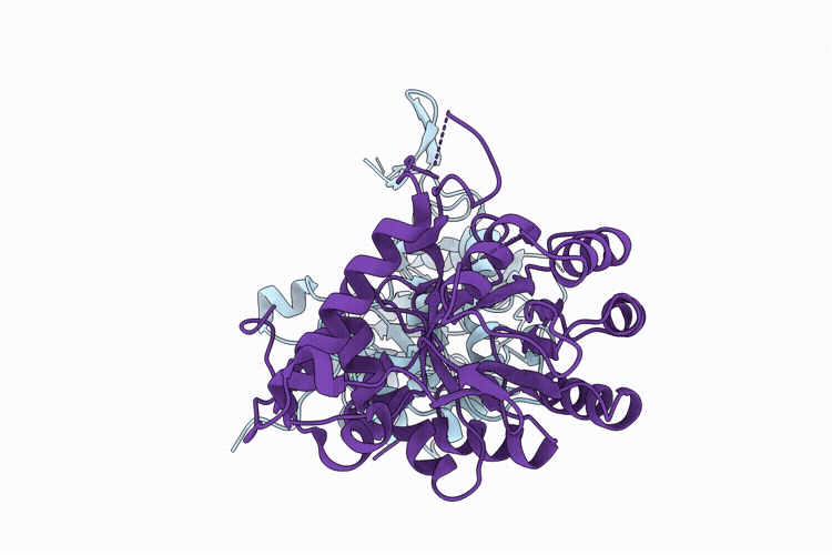 9HKC image