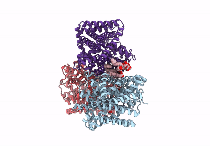 9HKM image