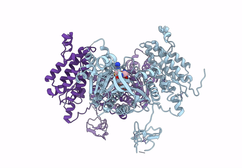 9HKU image