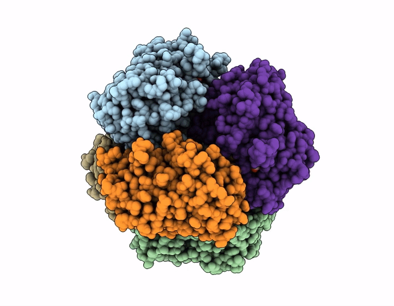 9HL1 image