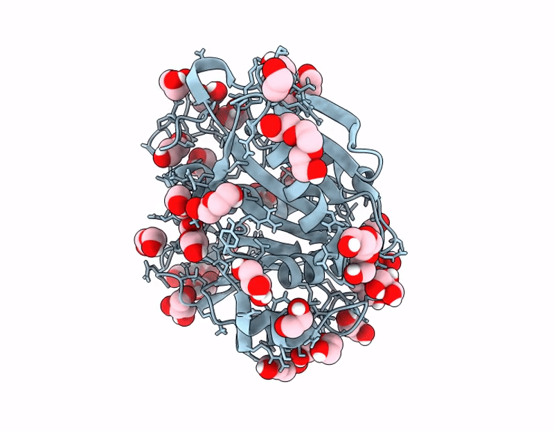 9HL5 image