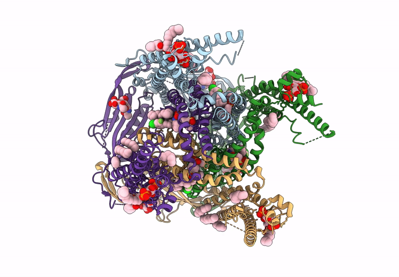 9HL6 image