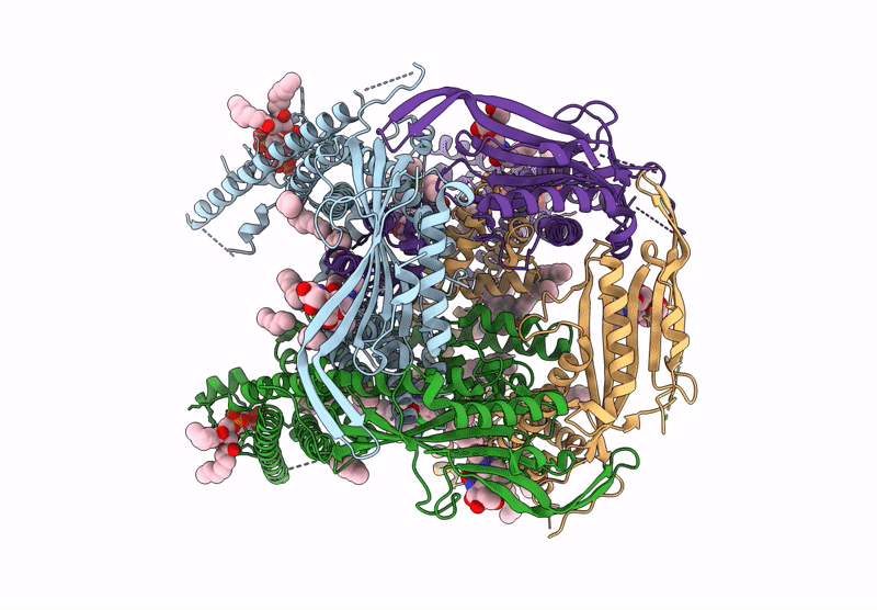 9HL8 image