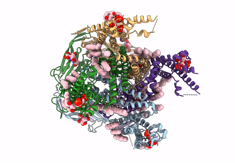 9HLB image