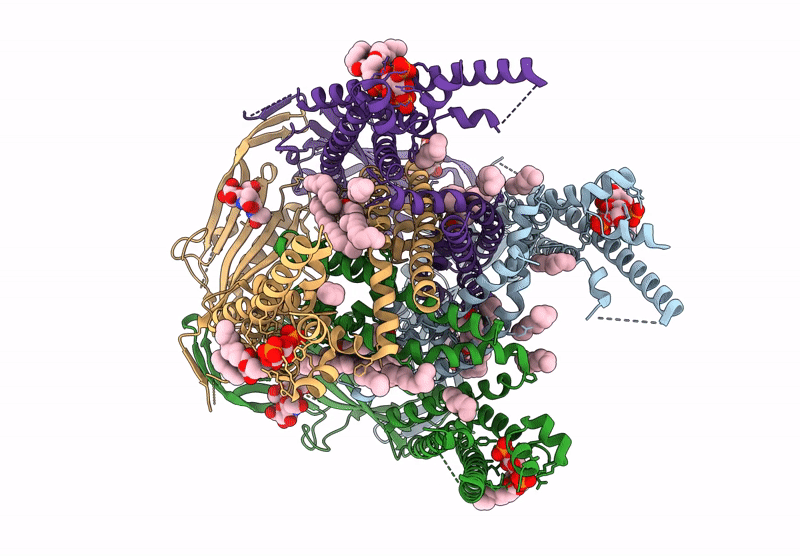 9HLC image