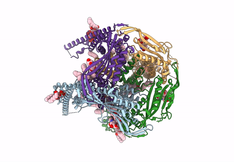9HLD image