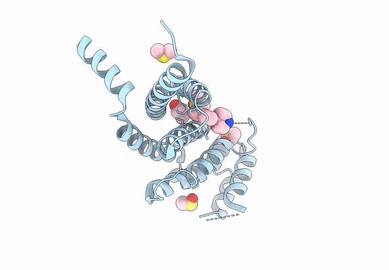 9HLP image