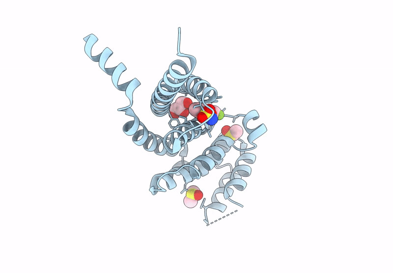 9HLR image