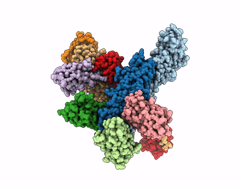 9HLS image