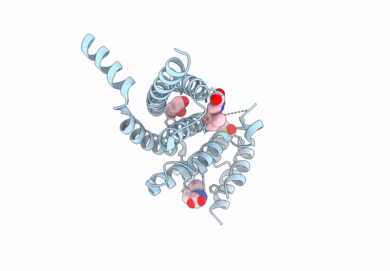 9HLT image