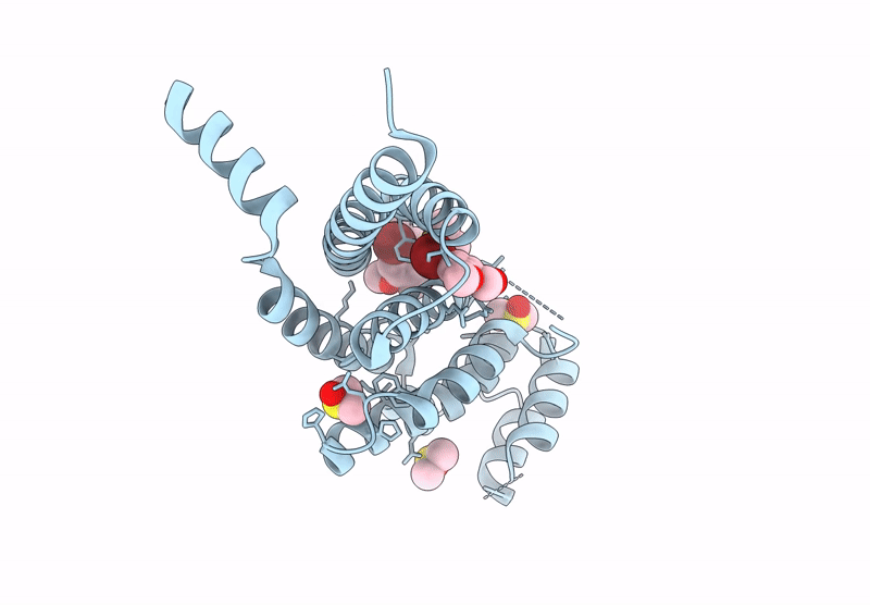 9HLU image