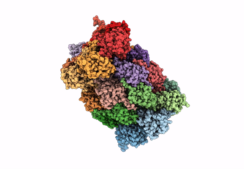 9HMN image