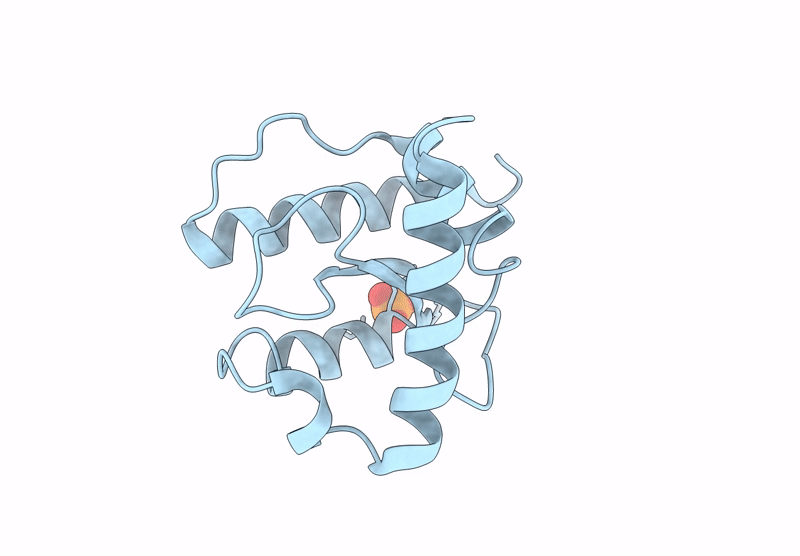 9HMO image