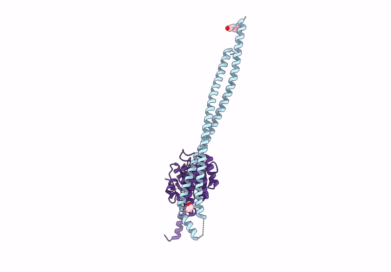 9HMX image