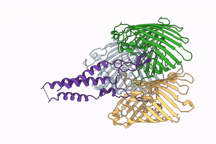 9HN2 image