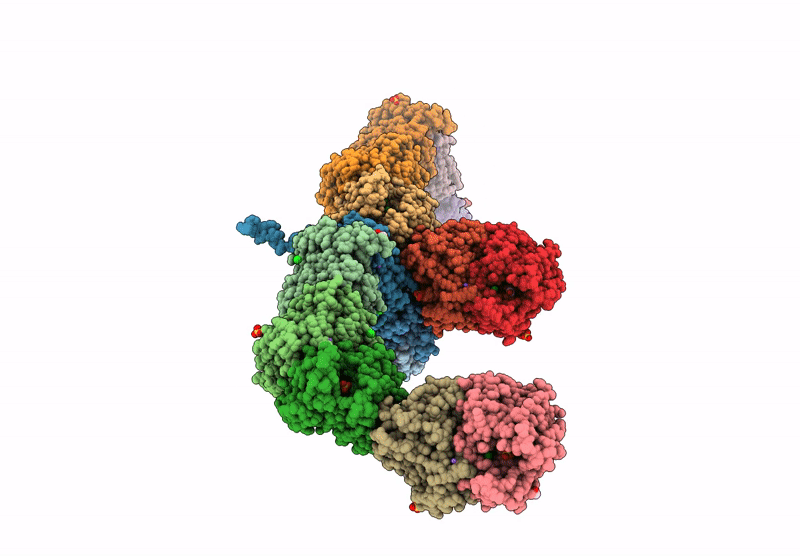 9HNC image
