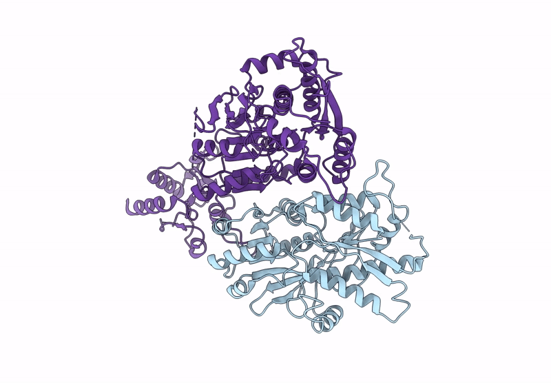 9HPG image