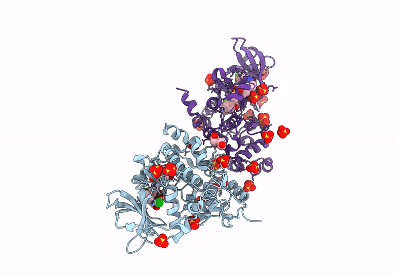9HPH image