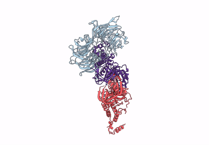9HPI image