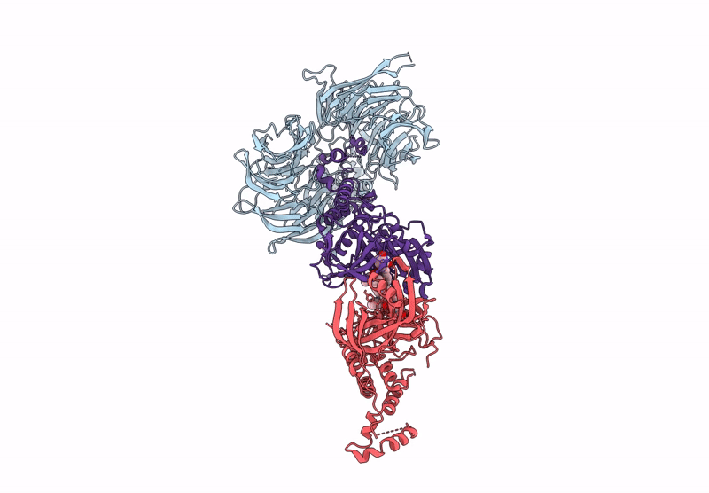 9HPJ image