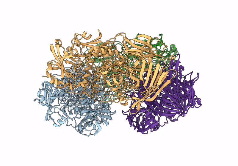 9HPL image
