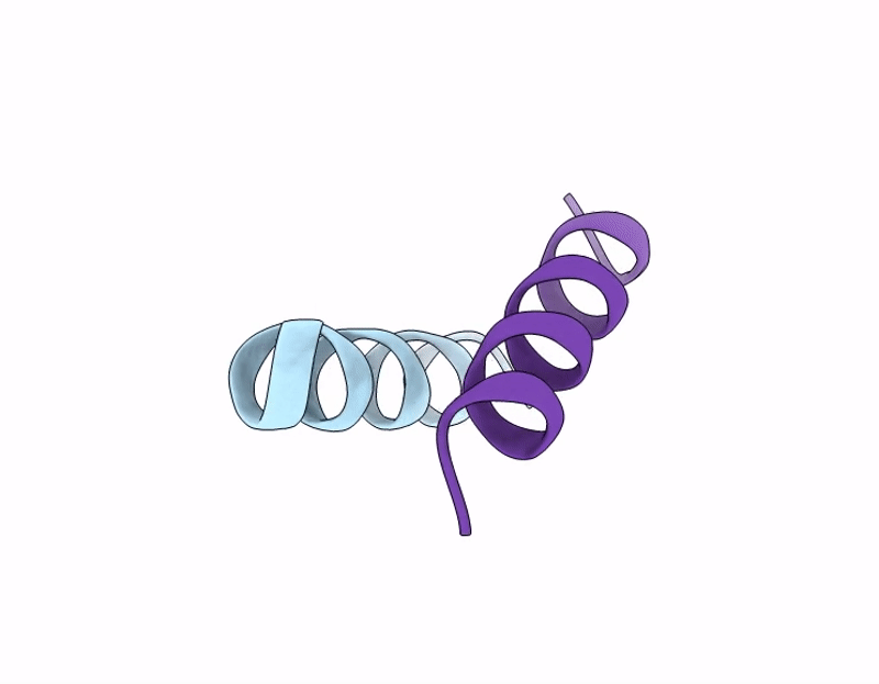 9HPP image