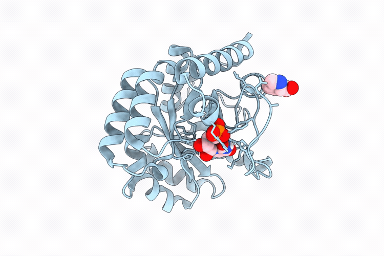 9HPR image