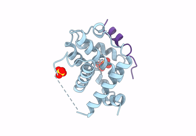 9HPS image
