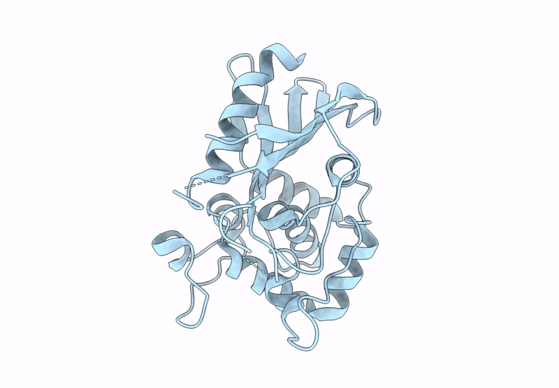 9HPT image