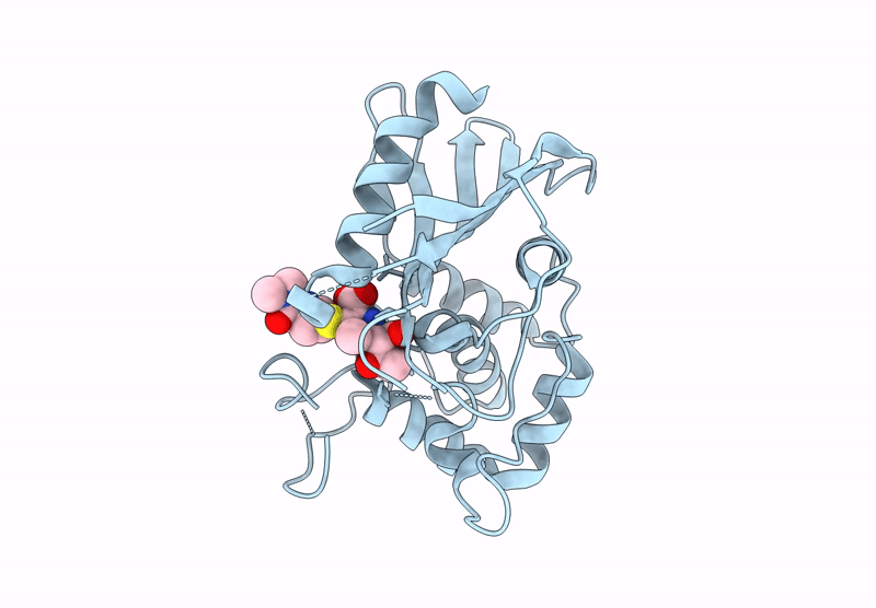 9HPW image