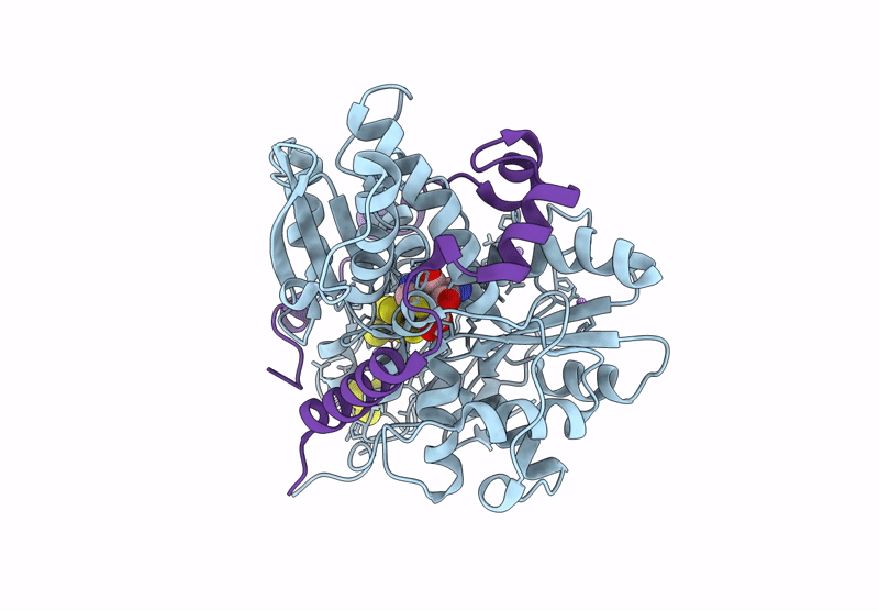 9HPX image