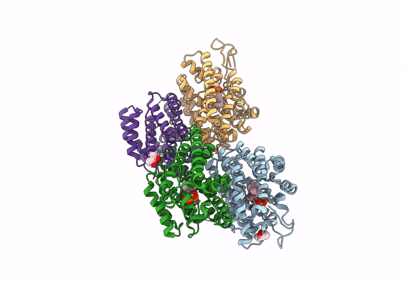 9HQB image