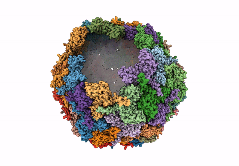 9HQC image