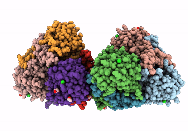 9HRA image