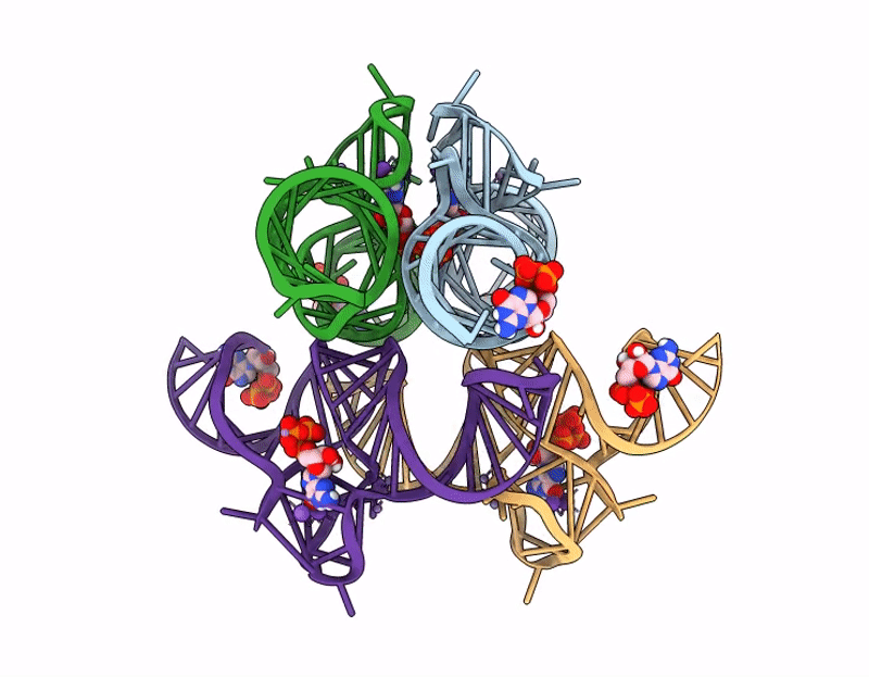 9HRD image