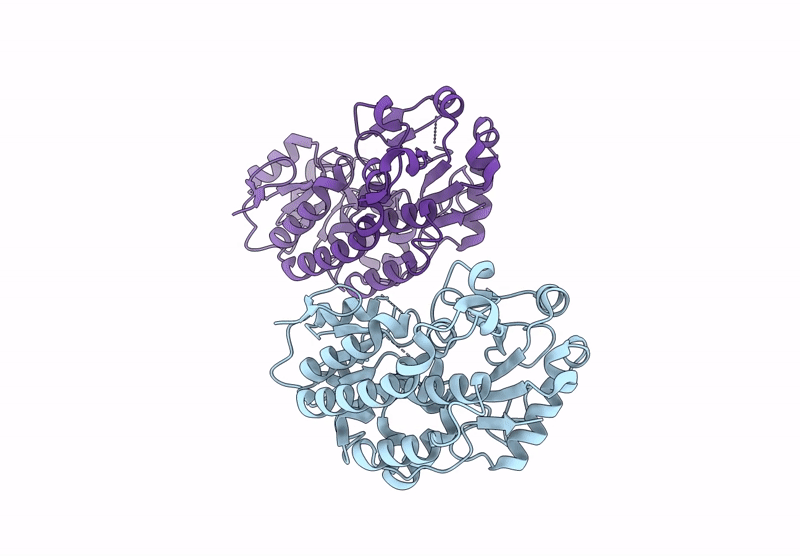 9HRJ image