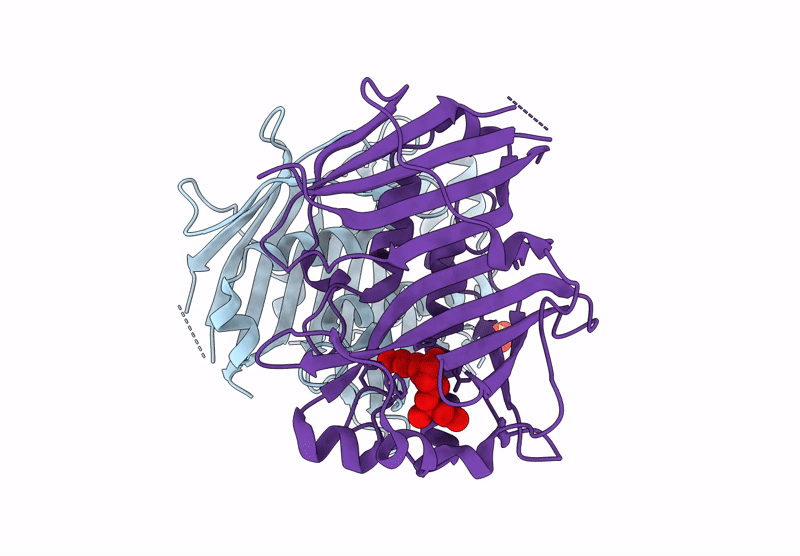 9HRQ image