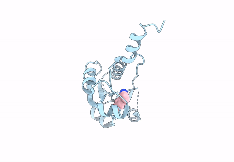 9HSC image