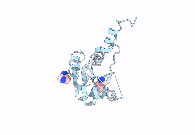9HSD image
