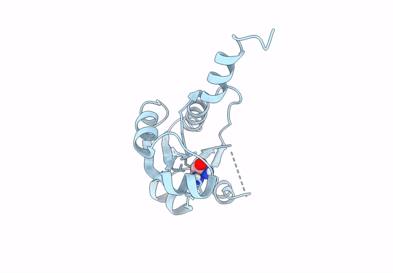 9HSF image
